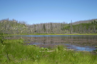 Main section of Gimmill Lake, Gimmill Lake Trail 2008-07.
